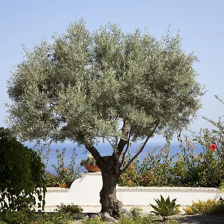 Enrica - Aeolian Charme Hotel Lipari (Isola Lipari)