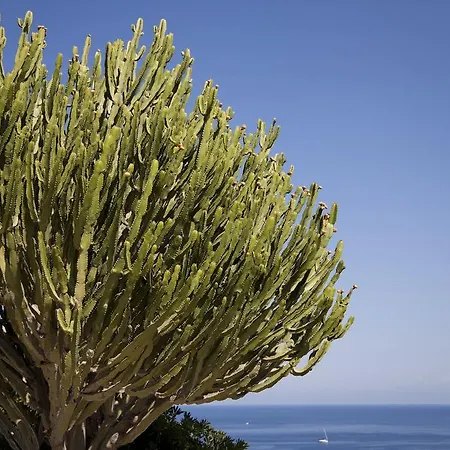 Enrica - Aeolian Charme 4* Lipari (Isola Lipari)